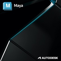 Maya Single-user Subscription VK/1N