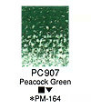 カリスマカラー PC907 Peacock Green（12本入）