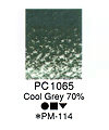カリスマカラー PC1065 Cool Grey 70％（12本入）