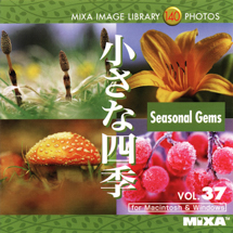 MIXA Vol.037 小さな四季