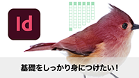 Desi WebZ InDesign{R[X